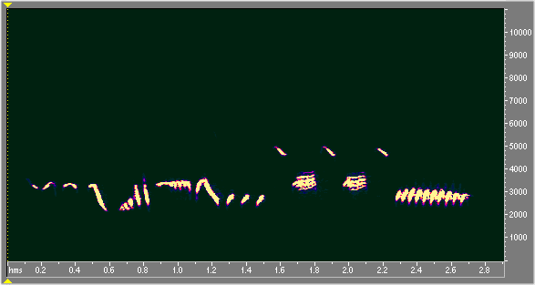 merlcool.gif (10033 octets)