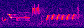 sona10.gif (26399 octets)