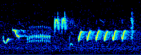 sona8.gif (17053 octets)