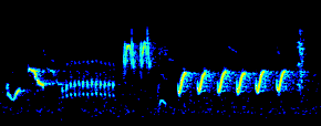 sona9.gif (7882 octets)