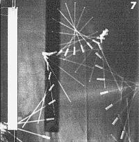 Mouvement d'un modèle de bâton de majorette (chronophotographie INRP)
