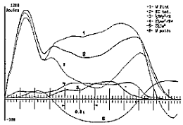 Salto2.gif (6276 octets)