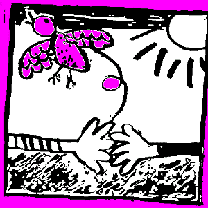 Image6.gif (10545 octets)